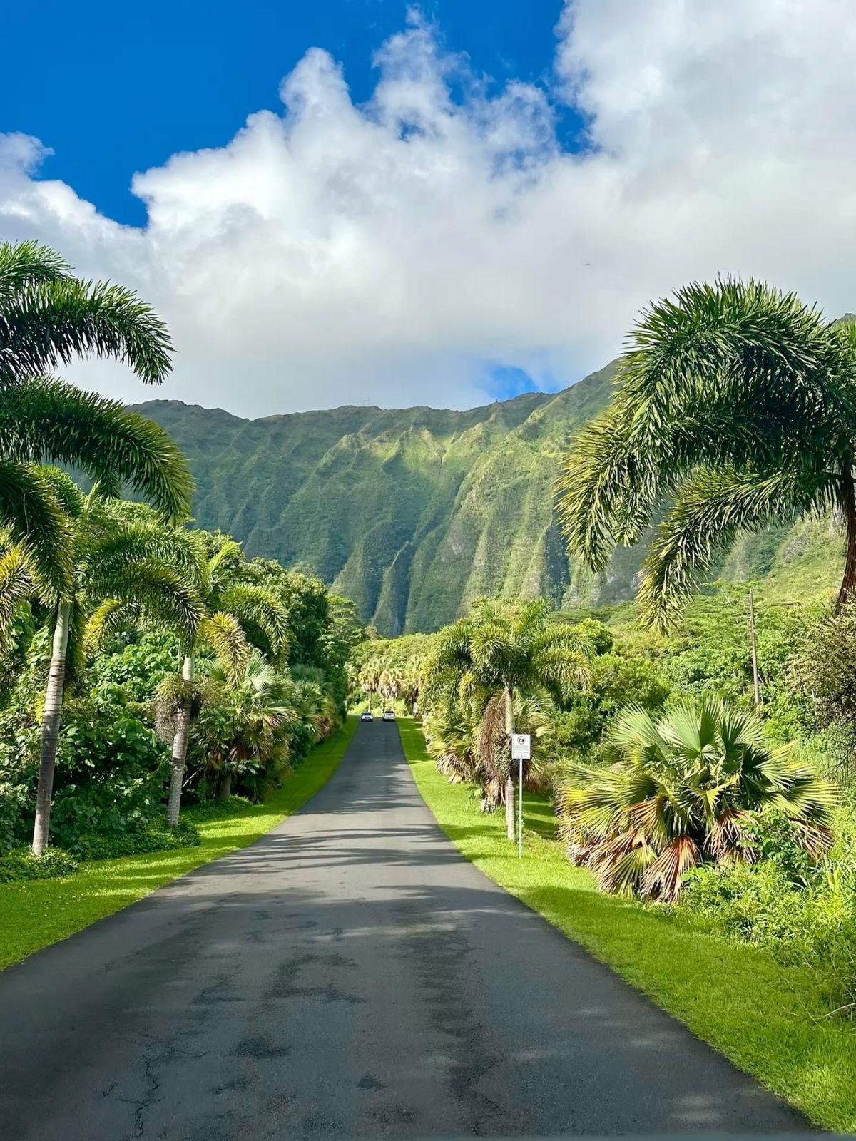 HOʻOMALUHIA BOTANICAL GARDEN 🌴 HOʻOMALUHIA BOTANICAL GARDEN 🌴