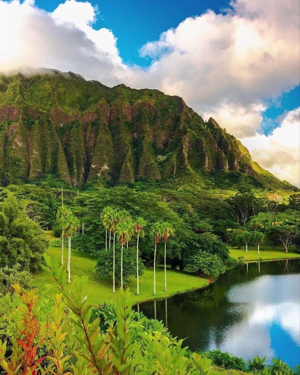 HOʻOMALUHIA BOTANICAL GARDEN 🌴 HOʻOMALUHIA BOTANICAL GARDEN 🌴