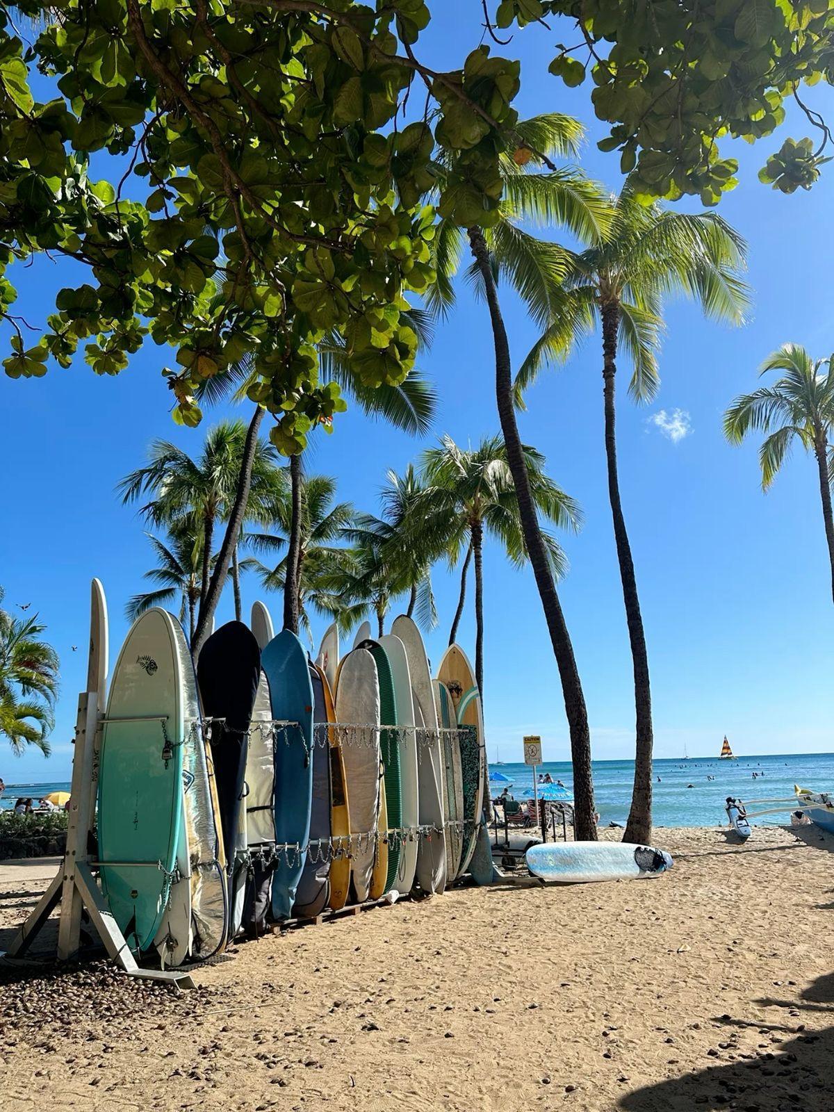 WAIKĪKĪ BEACH 🏝️ WAIKĪKĪ BEACH 🏝️