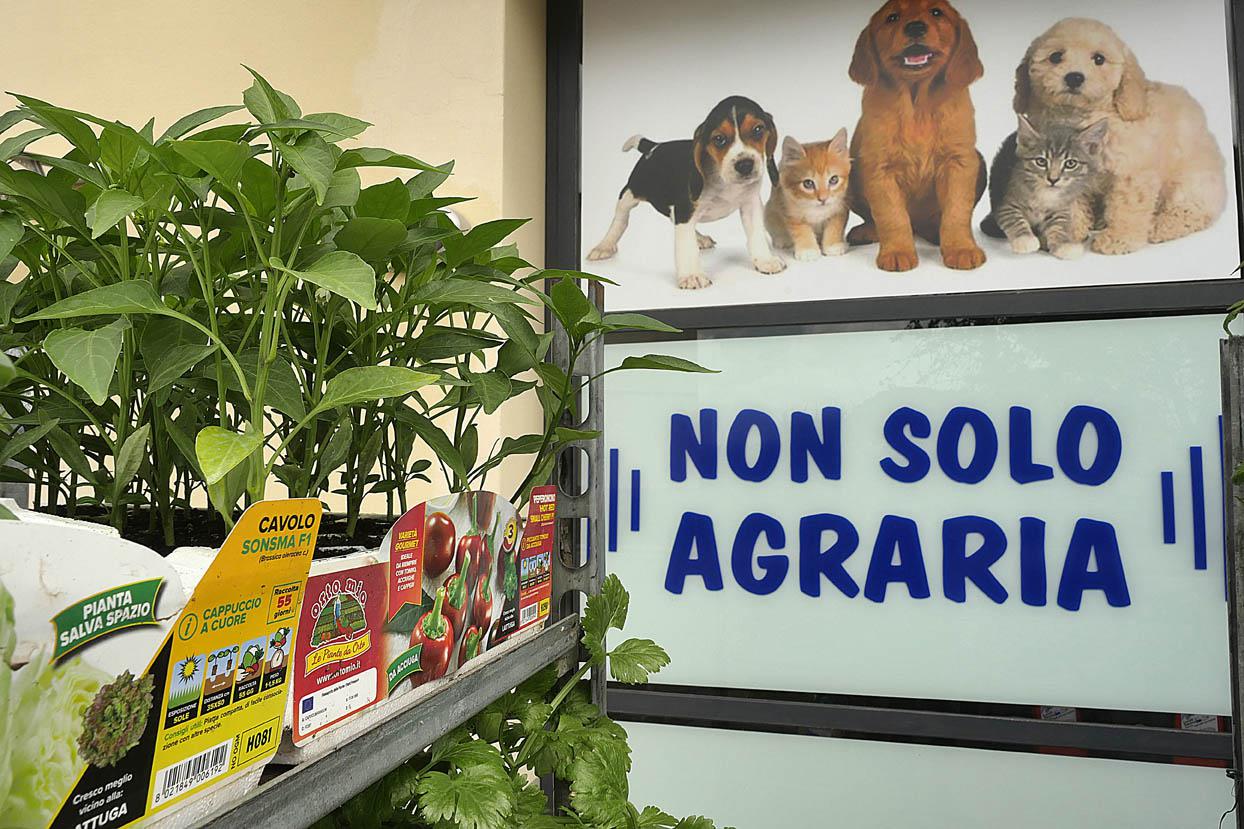 Non Solo Agraria