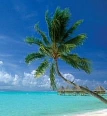 Les auditeurs en vacances