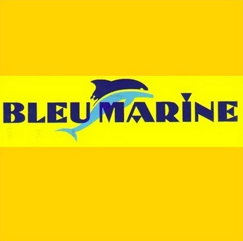 Bleu Marine revit sur le digital