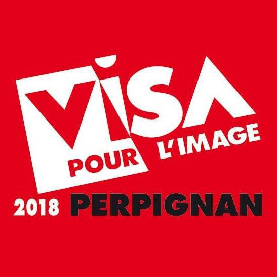 Visa d’or de l’Information numérique franceinfo