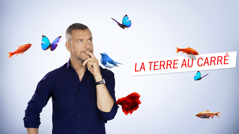 Radio France récompensée au 22e Grand Prix des Médias