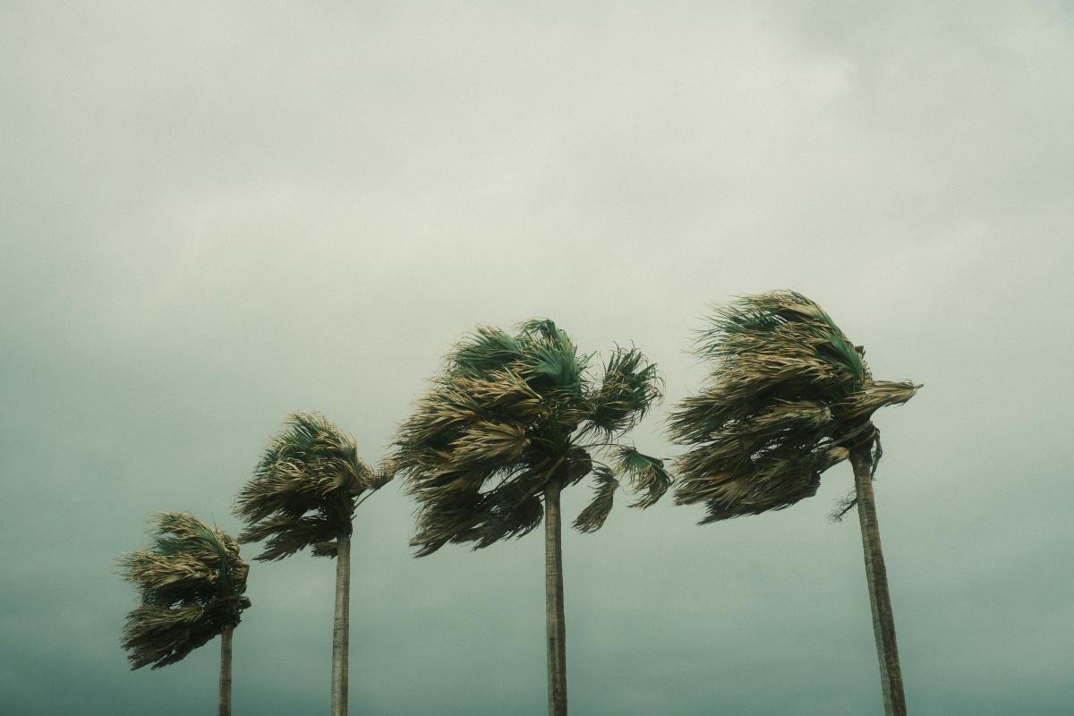 Fill This Form if Hurricane Beryl Damaged Your Home: Lower Your Property Taxes Now