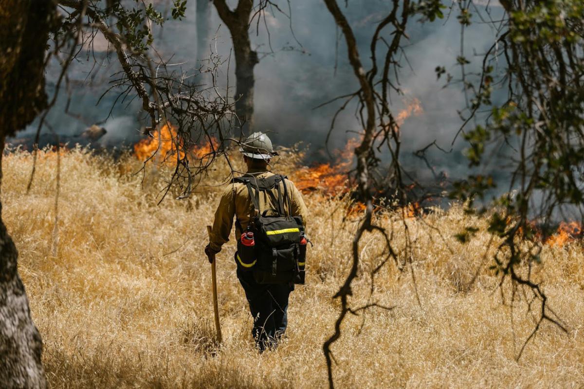 California Wildfires Rage On: Thousands Evacuated as Record Heat Looms.