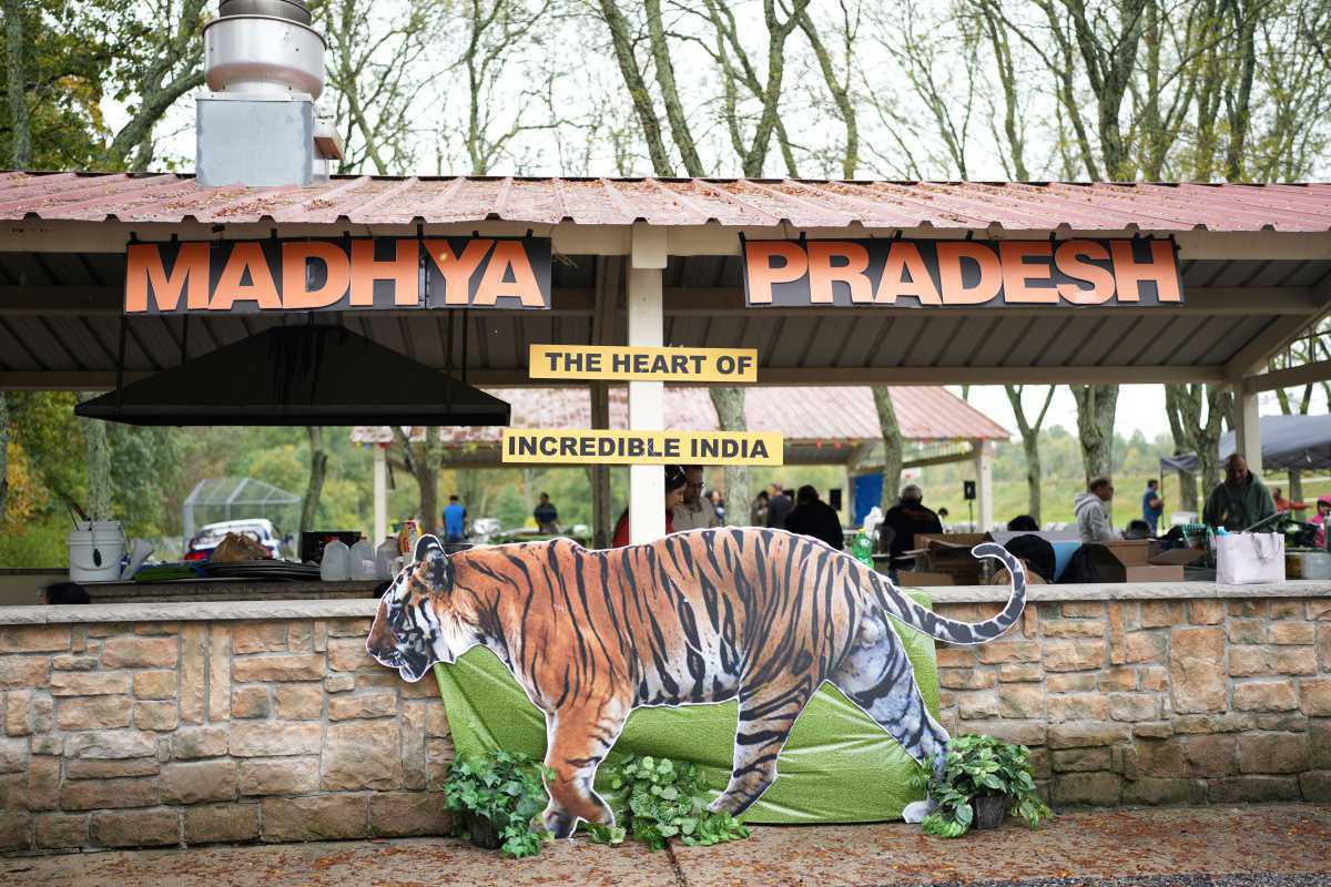 Community Spirit Shines at Friends of Madhya Pradesh's Annual Picnic in New Jersey