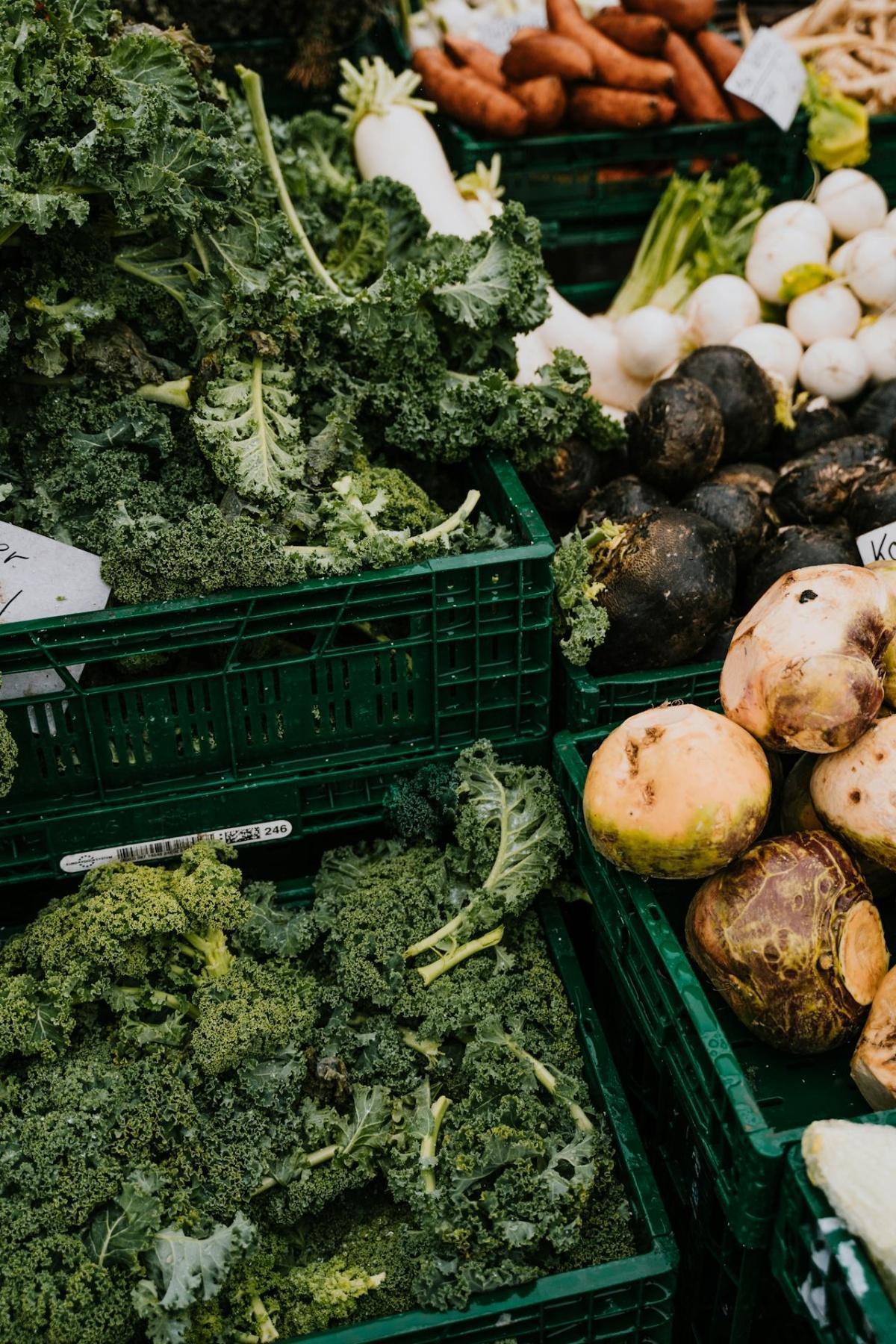 Plastic Chemicals in Everyday Food: Shocking Study Reveals Health Risks