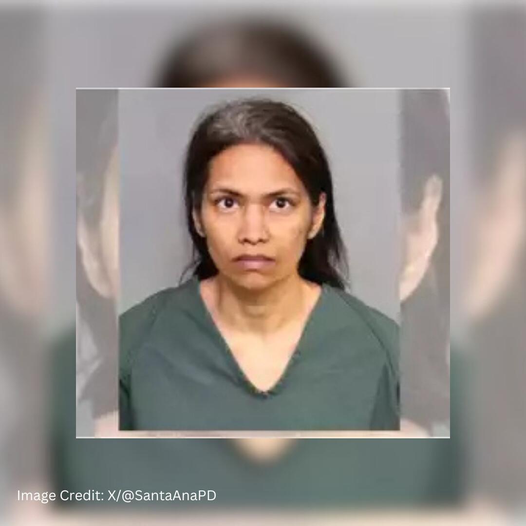 Indian-Origin Mom Charged With Son's Murder After Disneyland Visit Indian-Origin Mom Charged With Son's Murder After Disneyland Visit