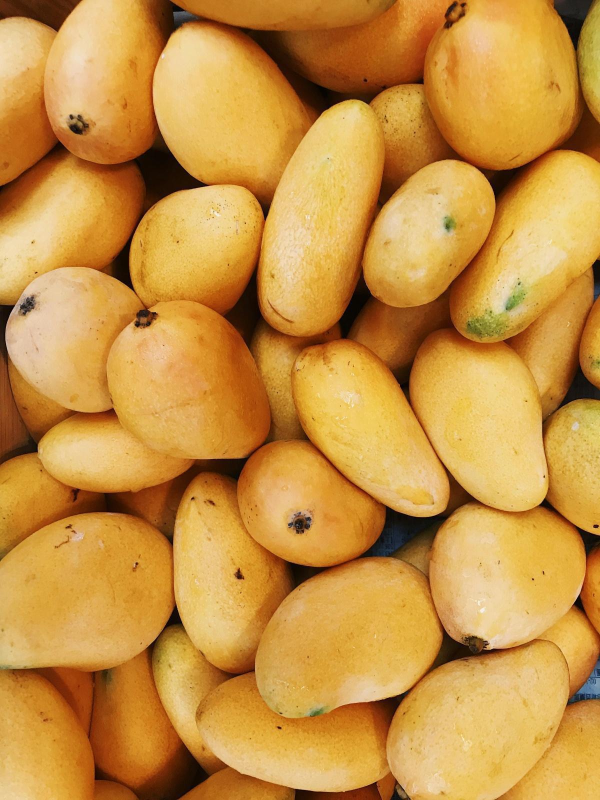 US Rejects 15 Indian Mango Shipments Over Documentation Errors