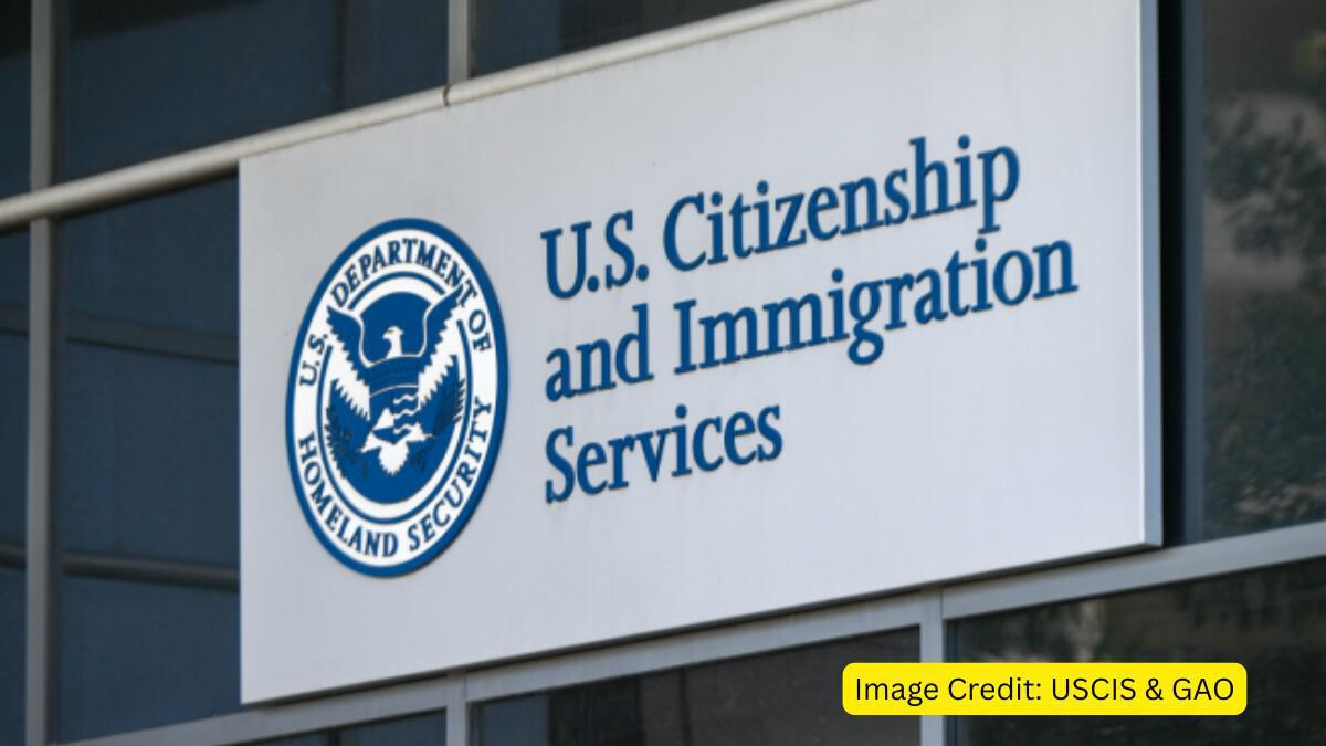 Trump's USCIS Pick Proposes Ending OPT, Alarming Indian STEM Graduates Trump's USCIS Pick Proposes Ending OPT, Alarming Indian STEM Graduates
