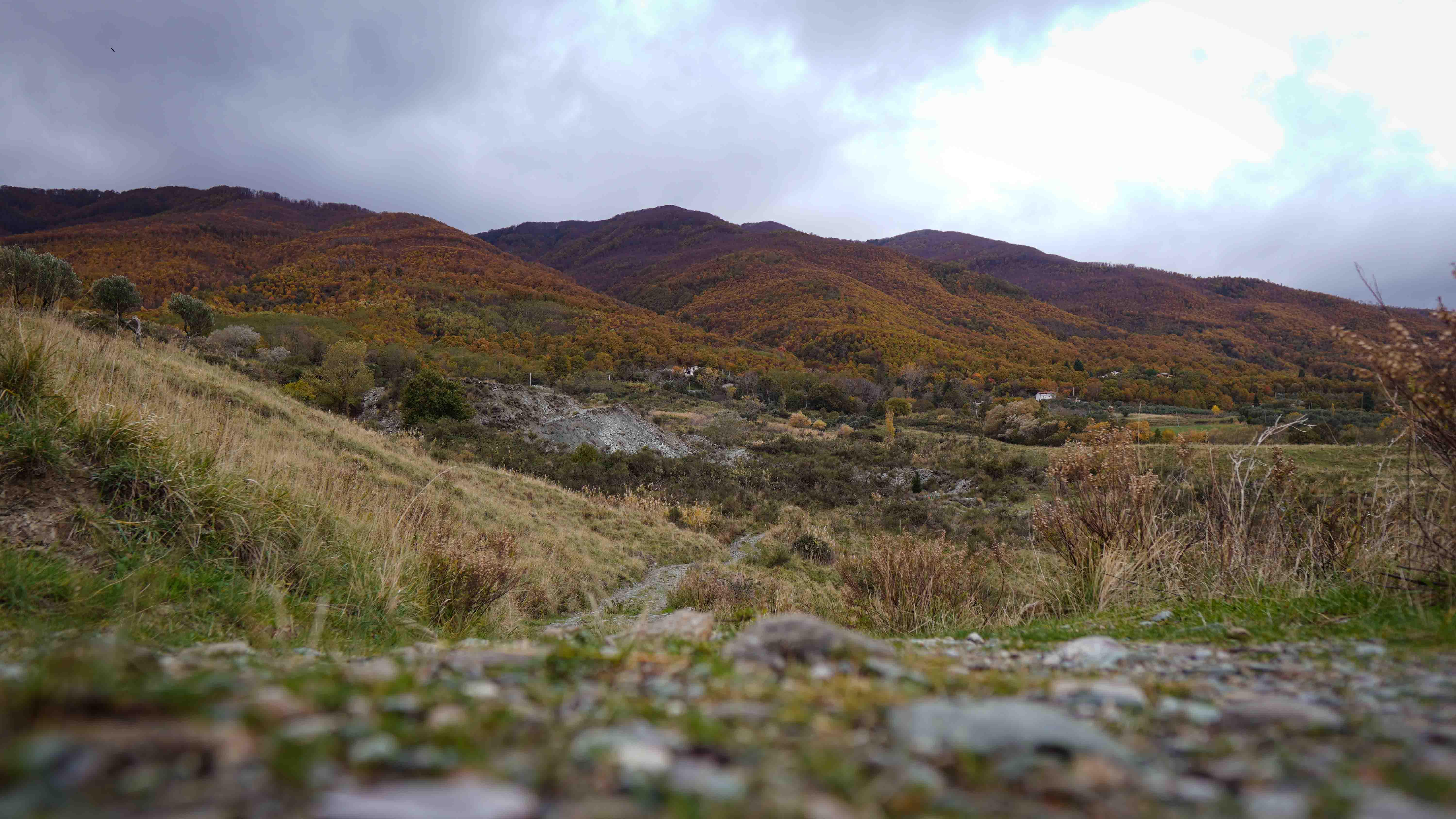 Panorama