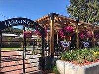 Dining and Desserts Dining and Desserts