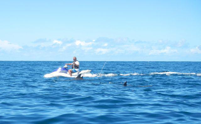 Jet Ski Safari Jet Ski Safari