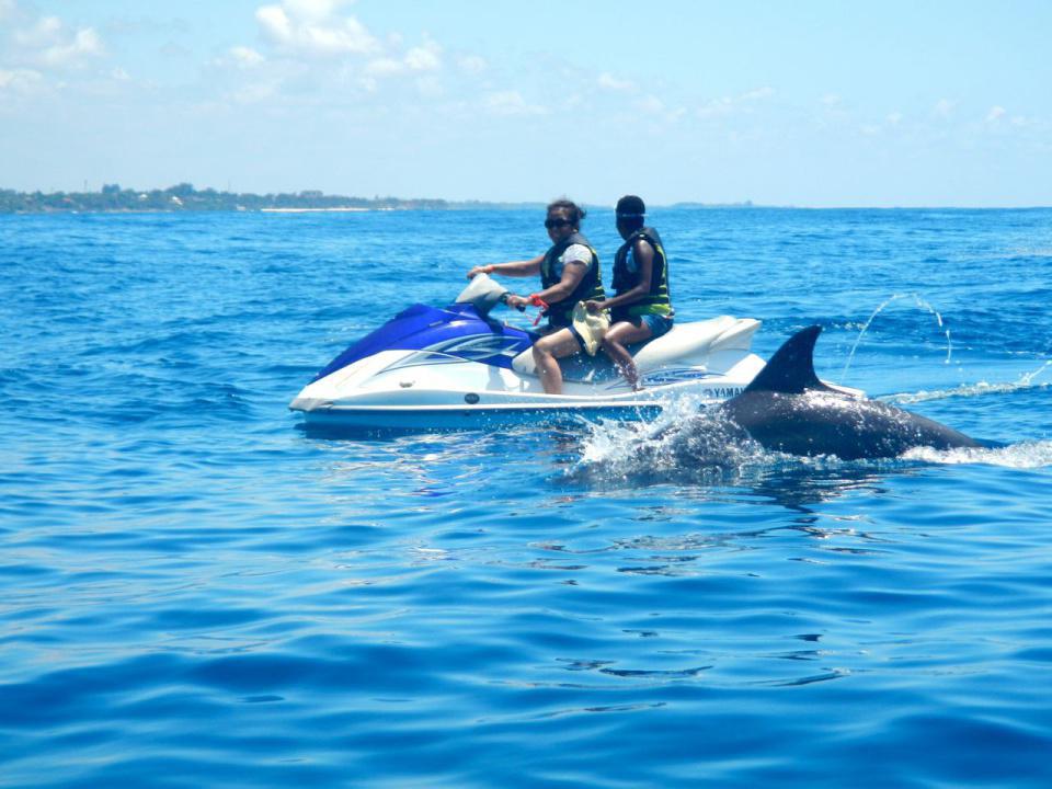 Jet Ski Safari Jet Ski Safari