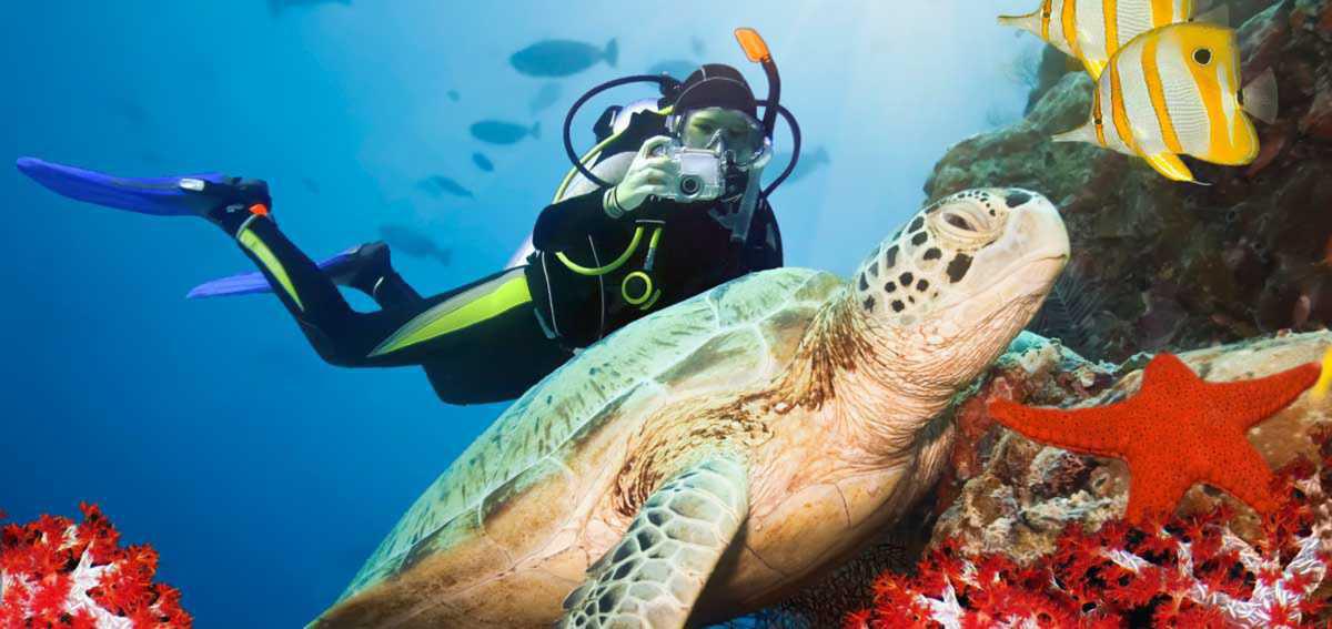 Diving in Kenya Diving in Kenya