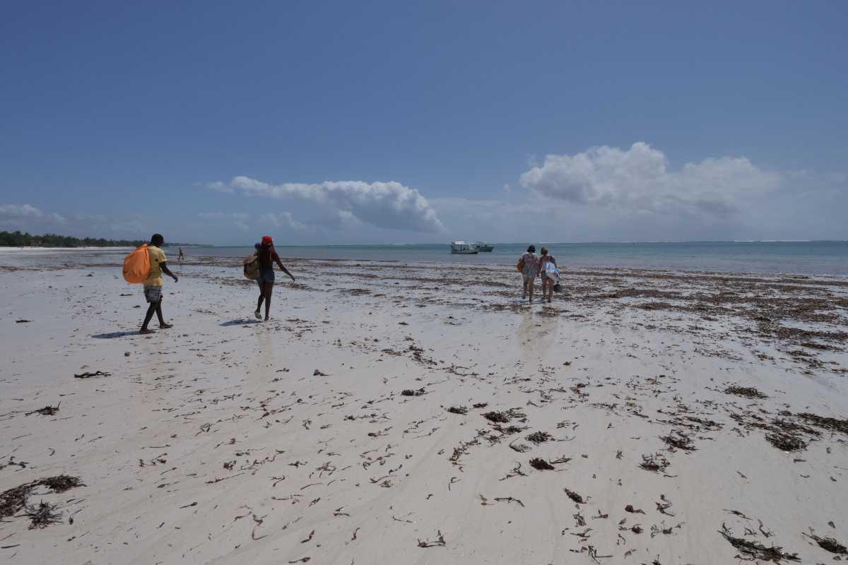 Glasboat Tour Glasboat Tour