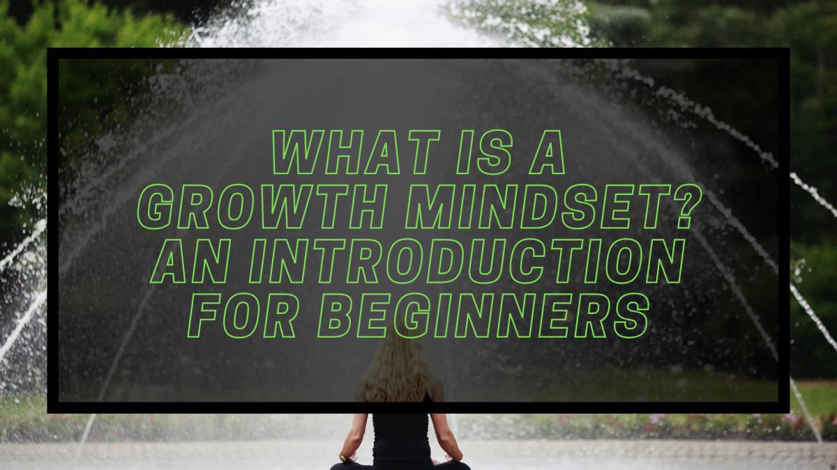 What is a Growth Mindset? What is a Growth Mindset?