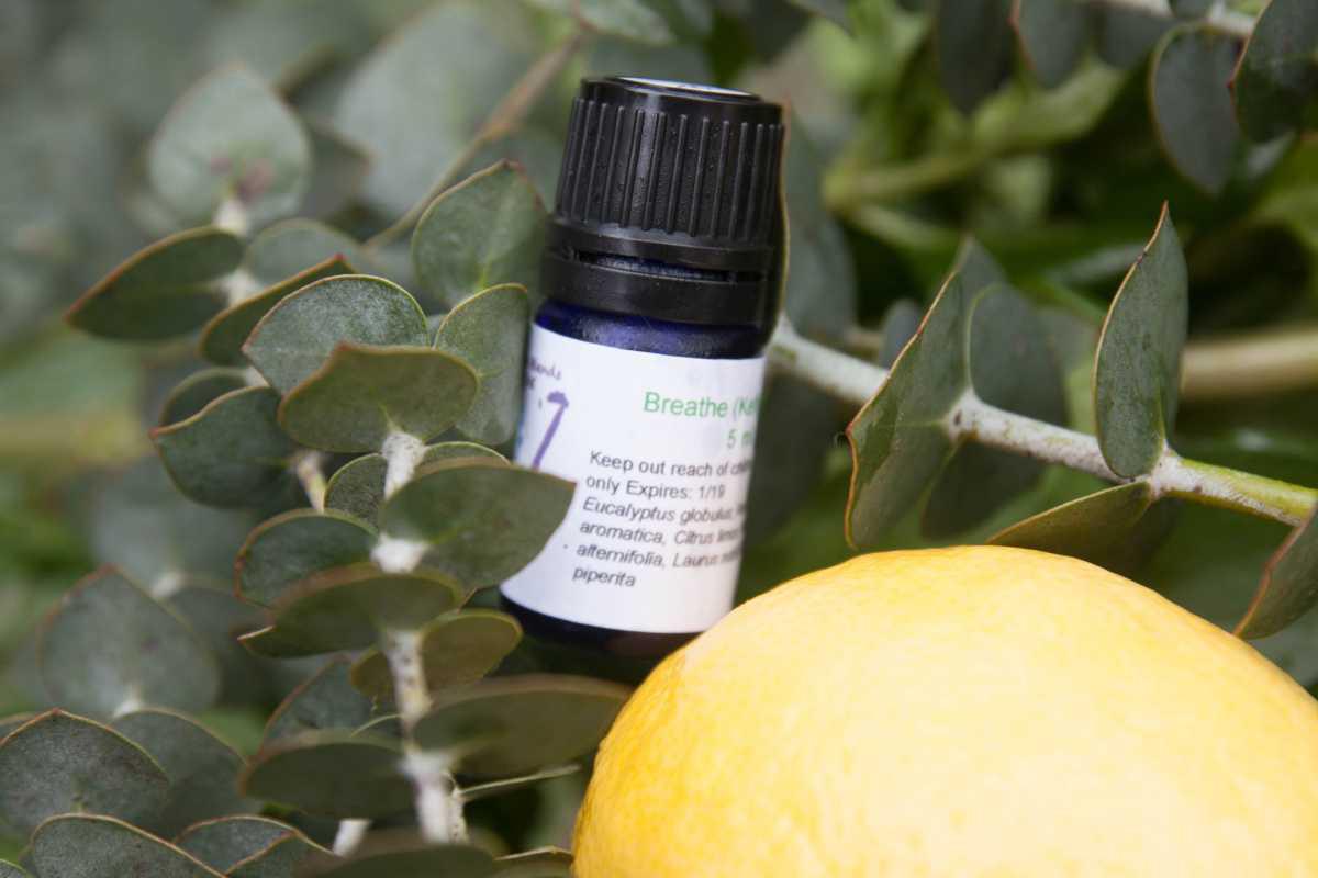 Breathe (Kelly) Synergy Blend Breathe (Kelly) Synergy Blend