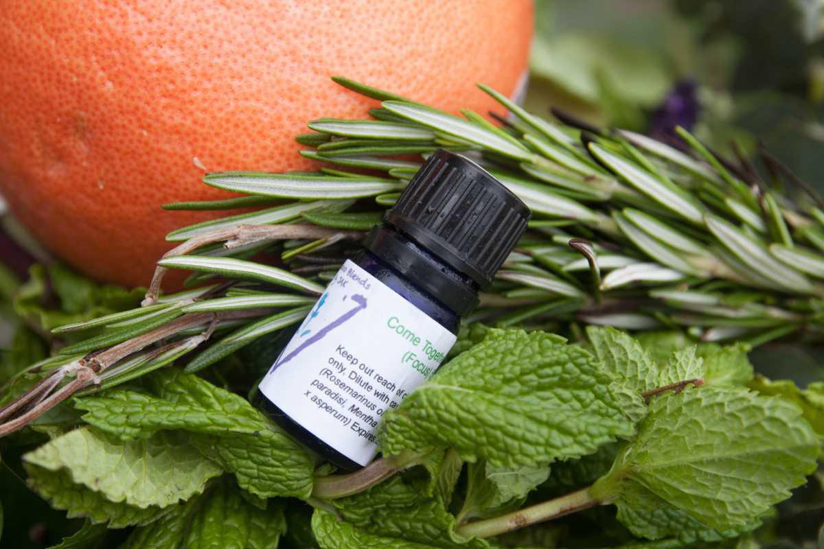 Come Together (Focus) Synergy Blend Come Together (Focus) Synergy Blend