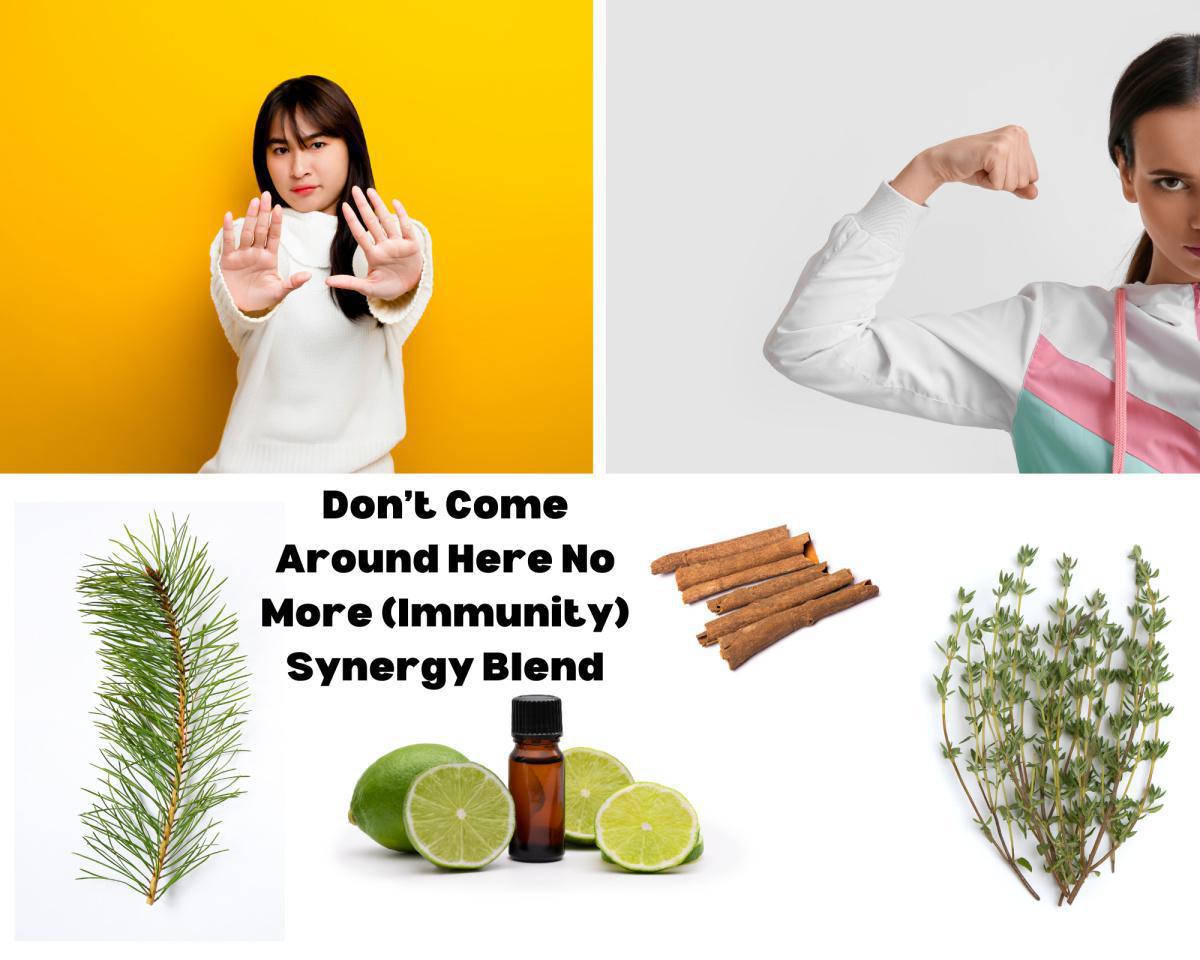 Don't Come Around Here No More (Immunity) Synergy Blend Don't Come Around Here No More (Immunity) Synergy Blend