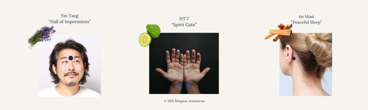 The 3 AM Wake-Up Call: How Veterans Can Rewire Sleep Patterns with AcuAroma Therapy The 3 AM Wake-Up Call: How Veterans Can Rewire Sleep Patterns with AcuAroma Therapy