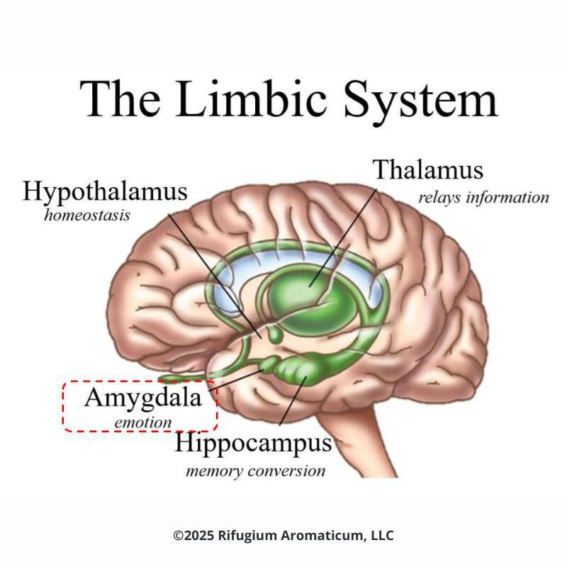 When Hypervigilance Hijacks Your Marriage: Using AcuAroma to Reconnect with Your Partner When Hypervigilance Hijacks Your Marriage: Using AcuAroma to Reconnect with Your Partner