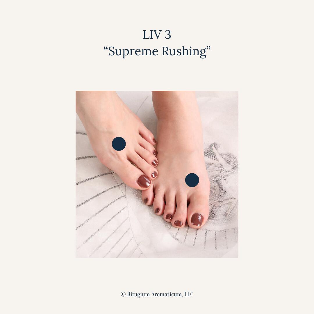 Embracing Spring's Renewal: The Wood Element in Traditional Chinese Medicine and Acupressure Support Embracing Spring's Renewal: The Wood Element in Traditional Chinese Medicine and Acupressure Support