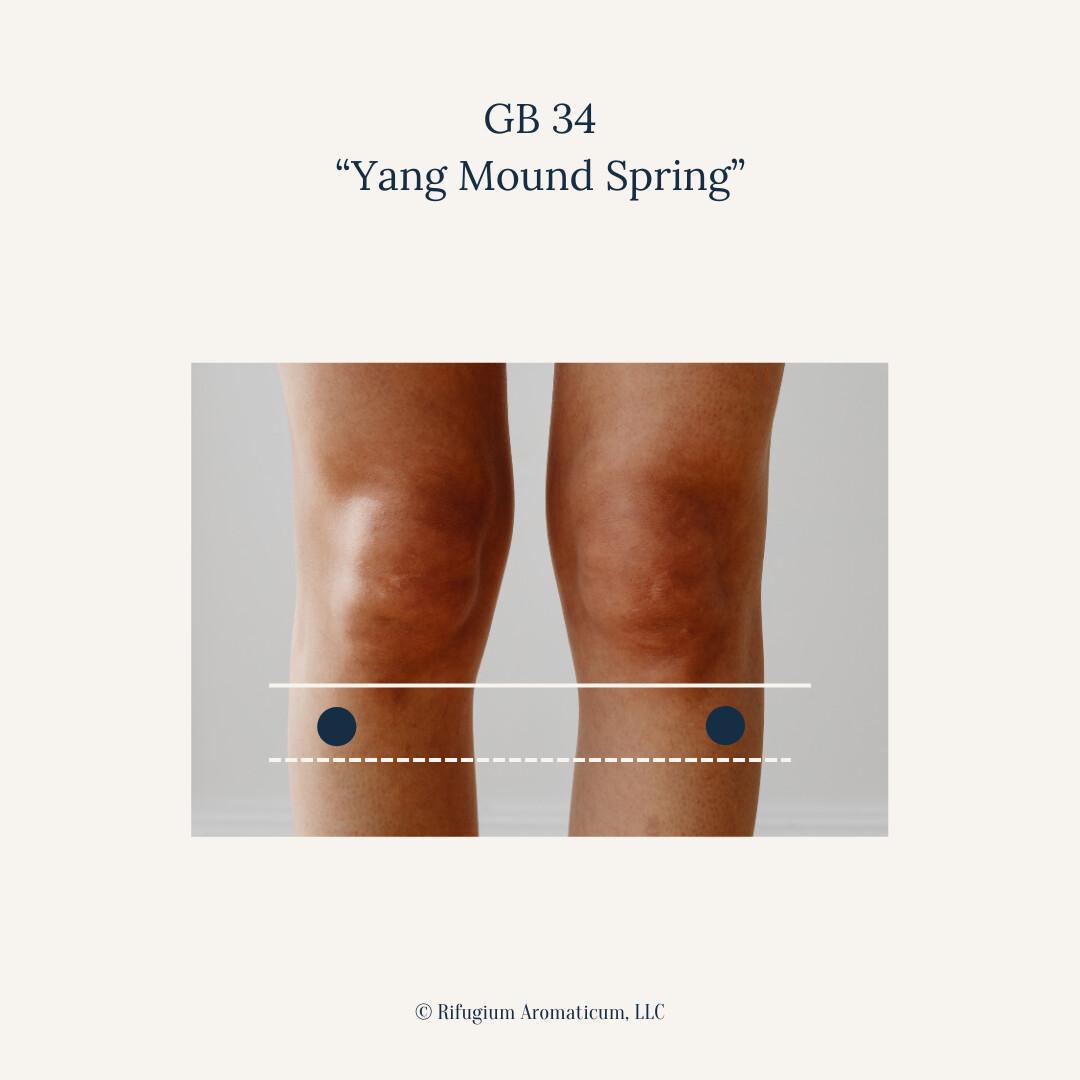 Embracing Spring's Renewal: The Wood Element in Traditional Chinese Medicine and Acupressure Support