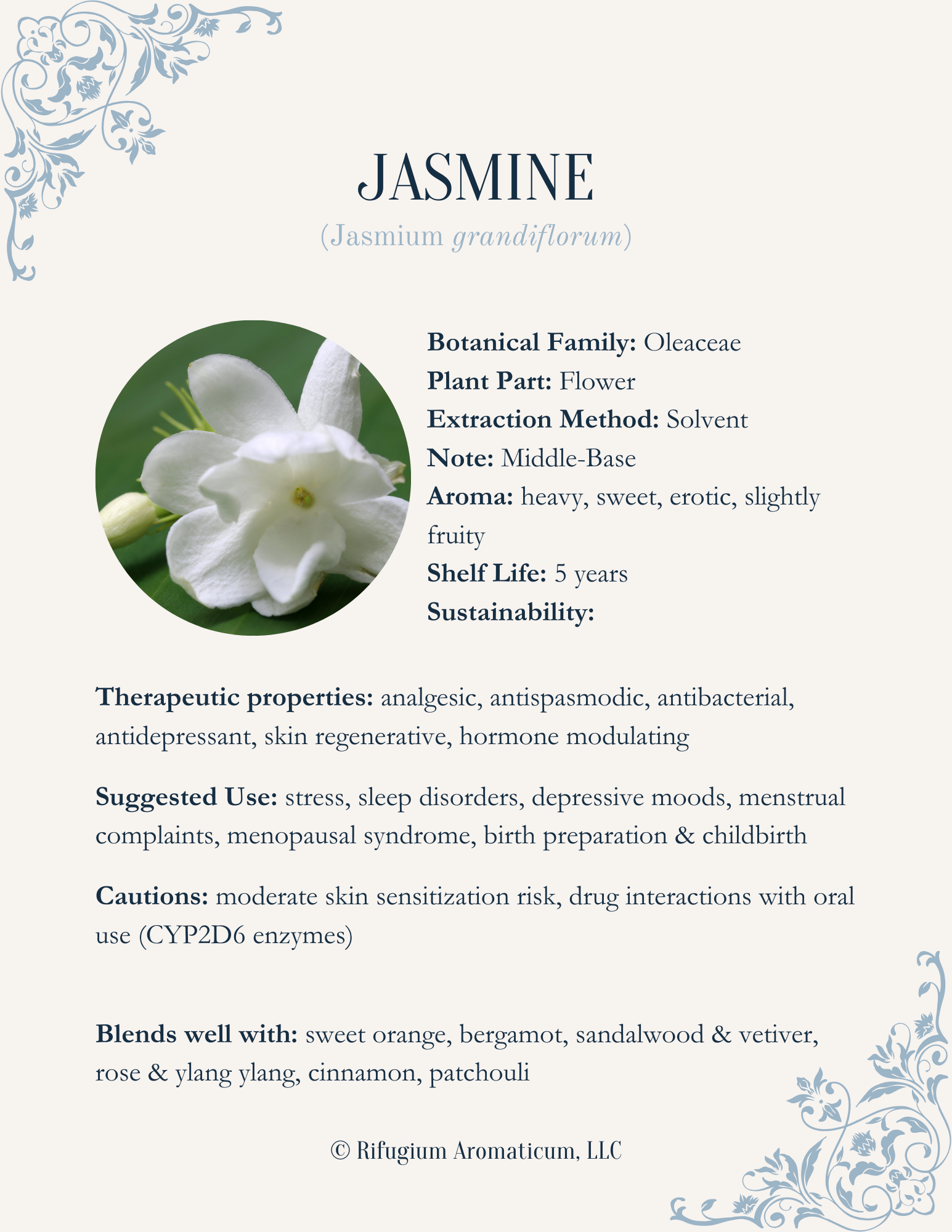 Jasmine - Steckbrief Kurz
