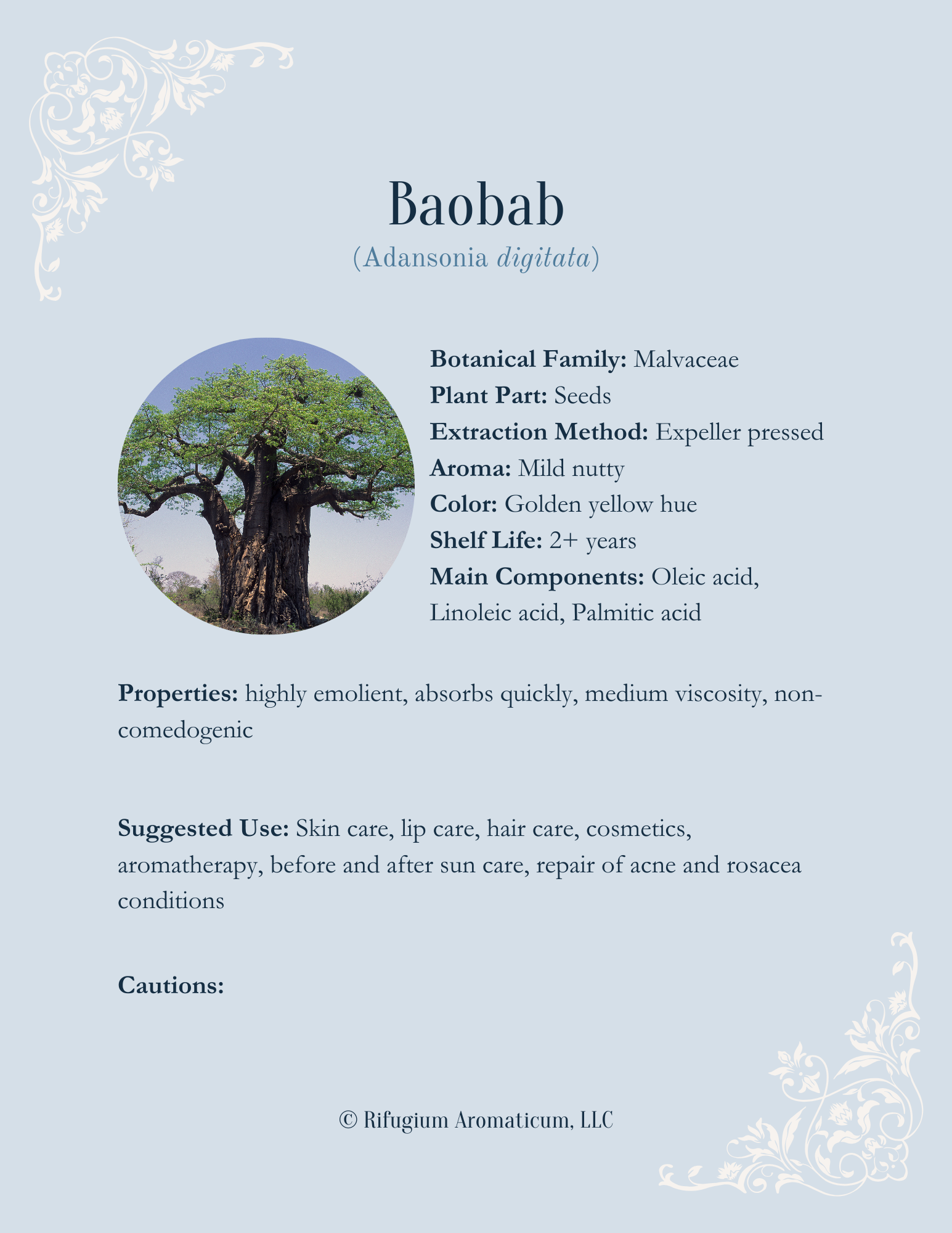 Baobab 