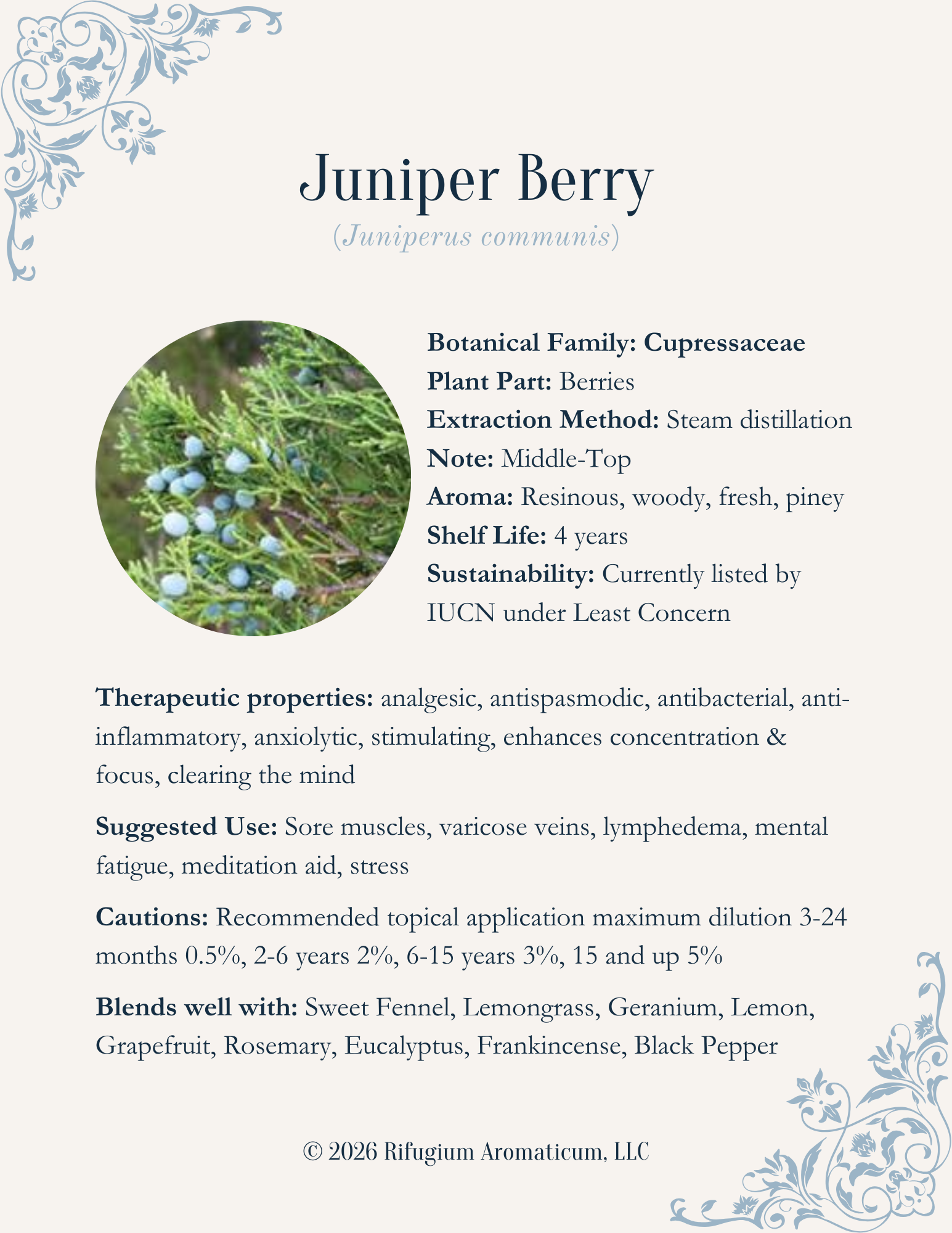 Juniper Berry (Juniperus communis)