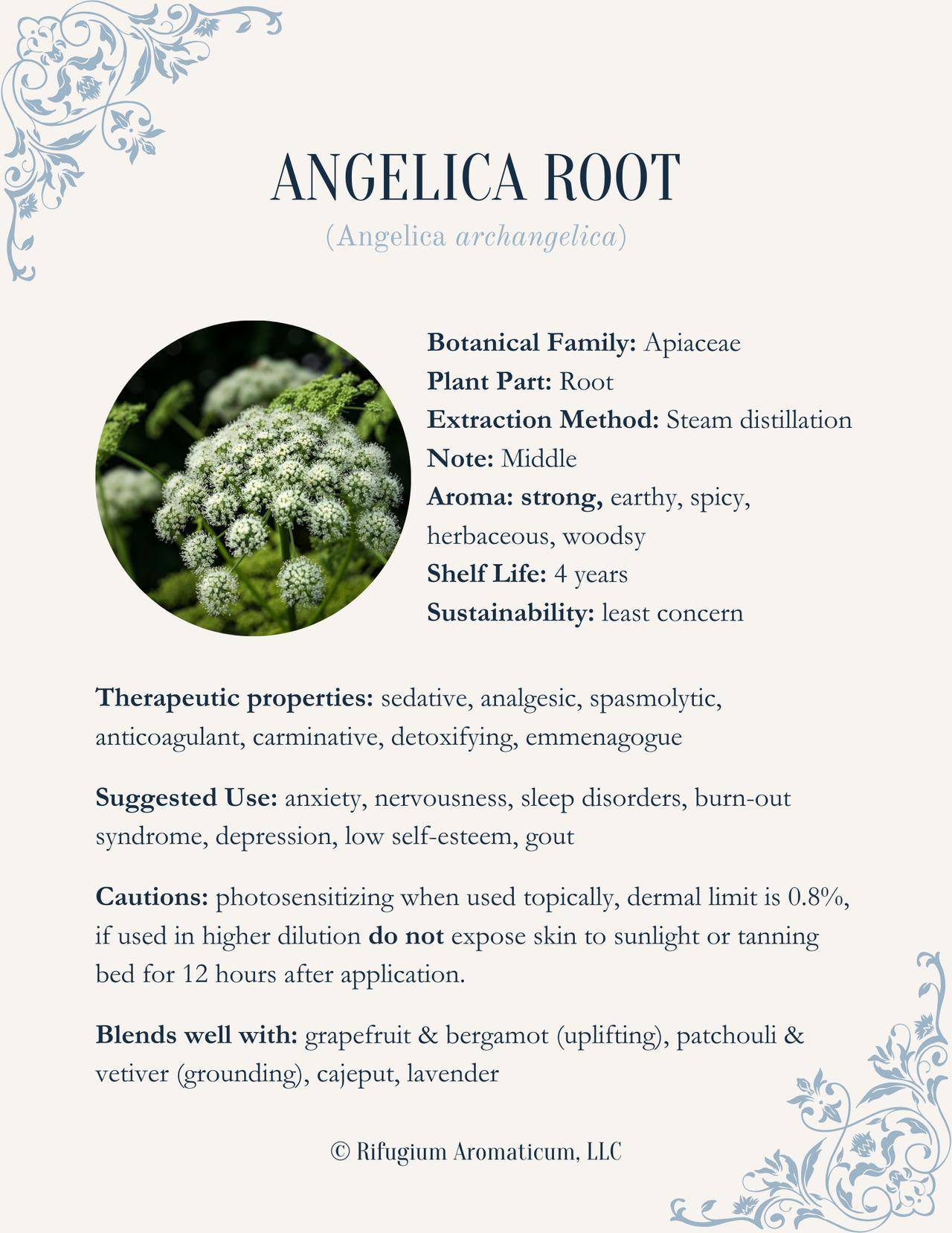 Angelica Root - Steckbrief Kurz