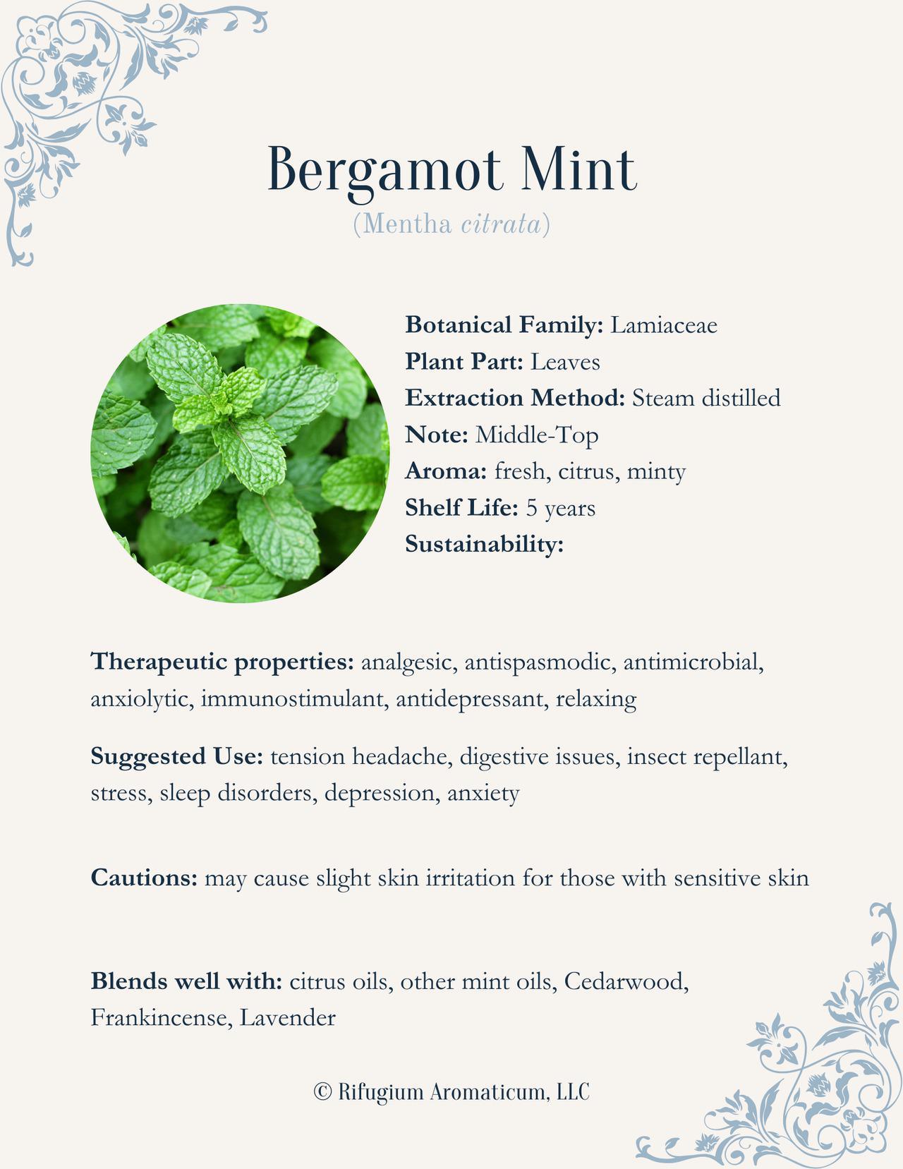 Bergamot Mint