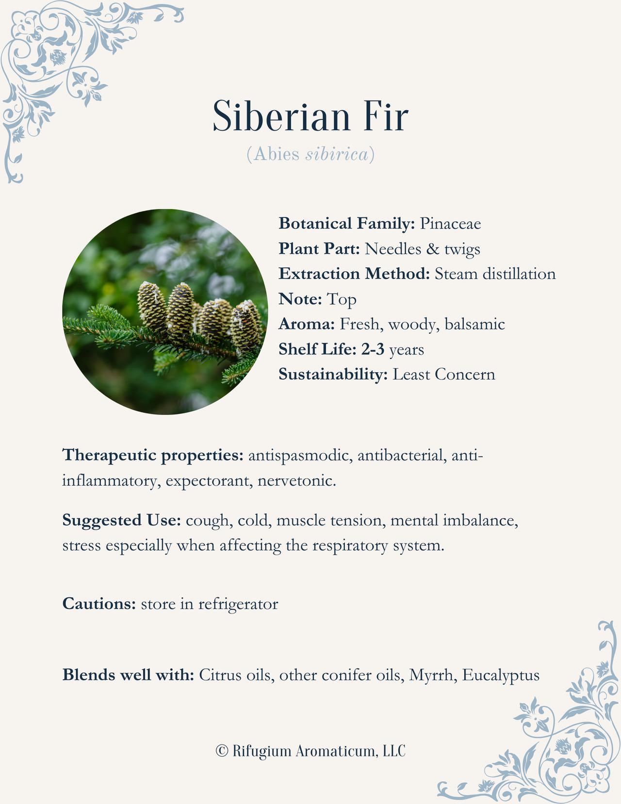 Siberian Fir