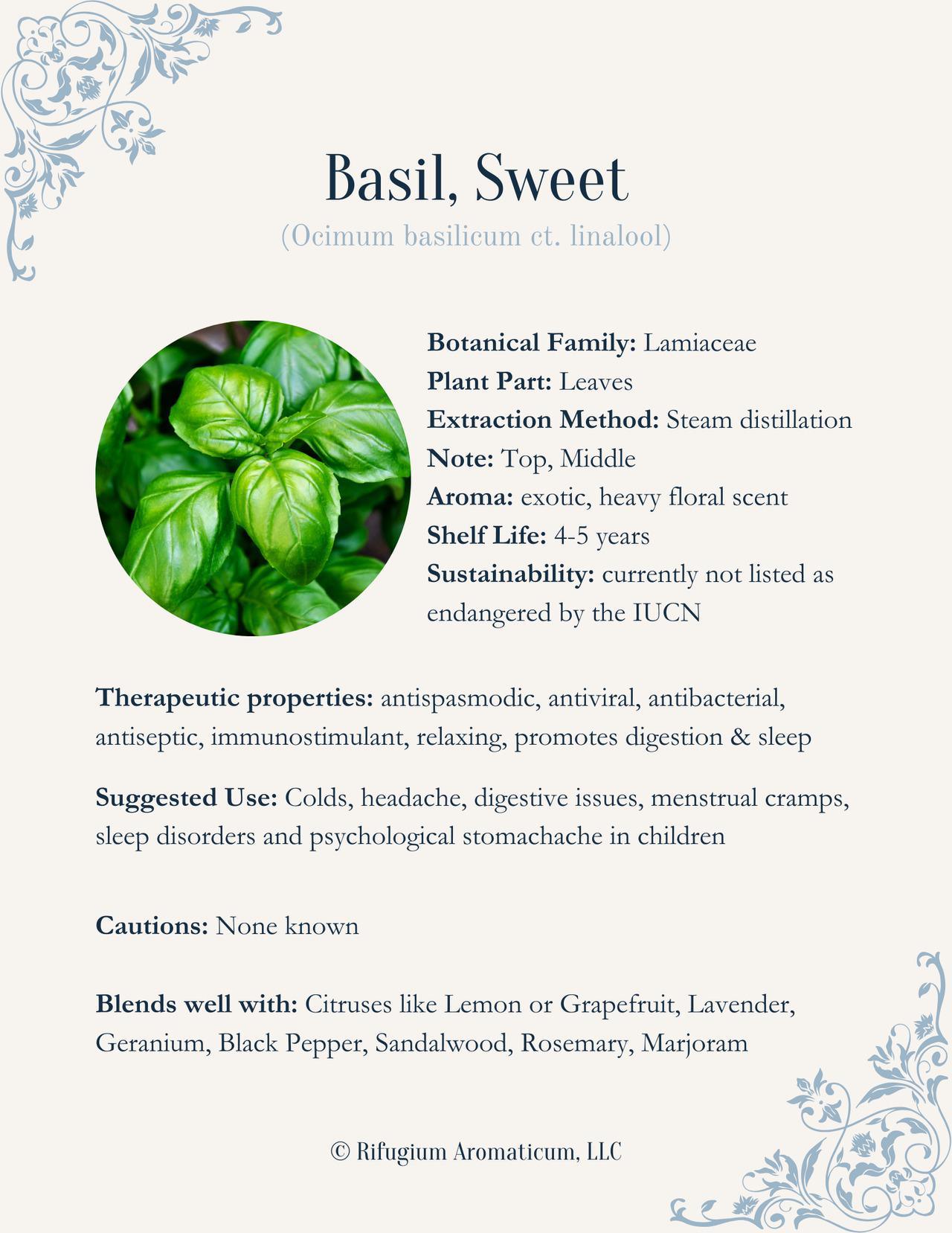 Basil, Sweet