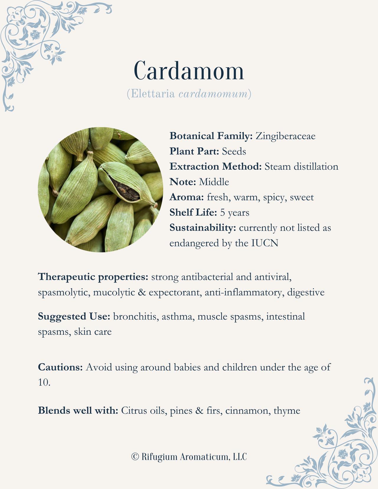 Cardamom
