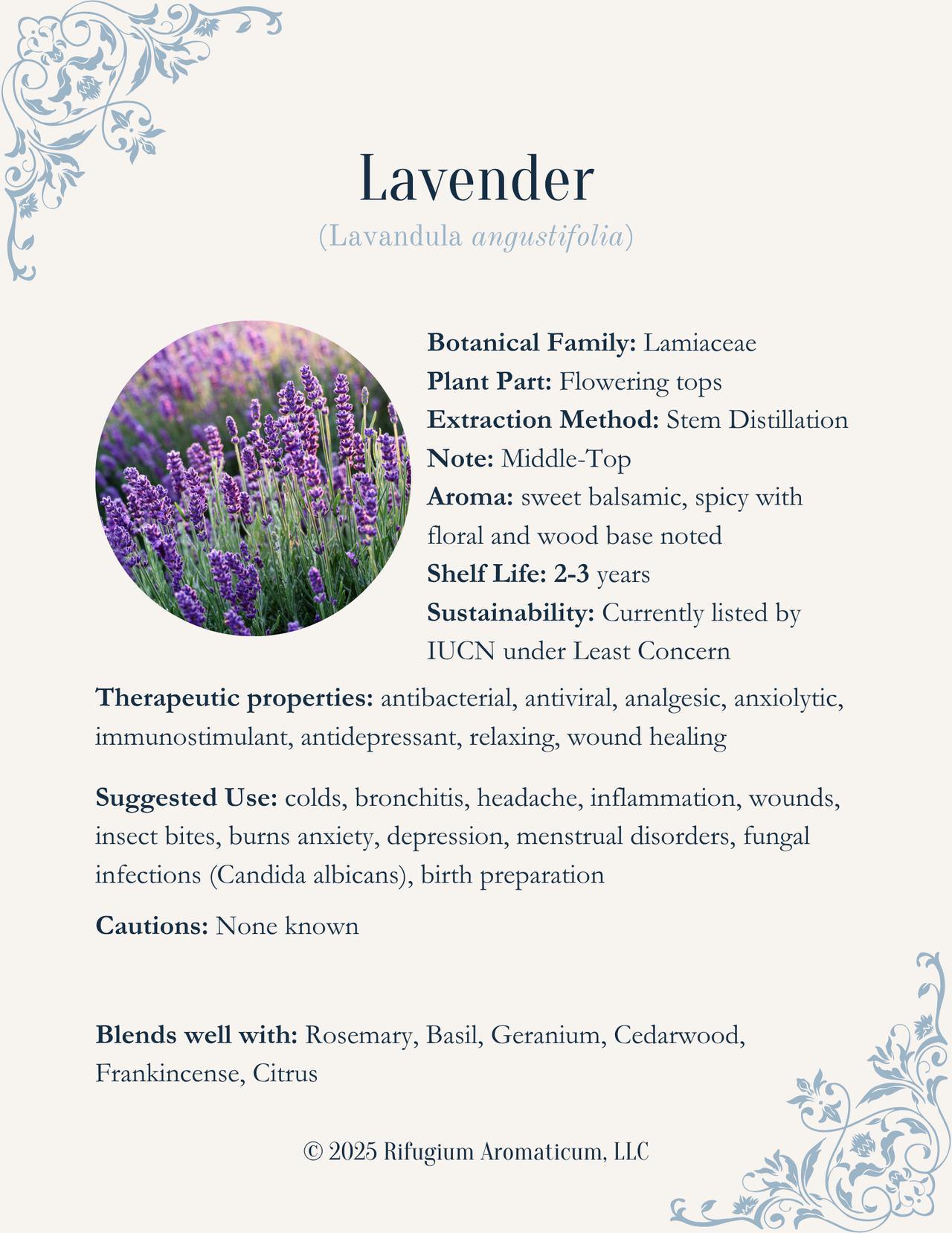 Lavender