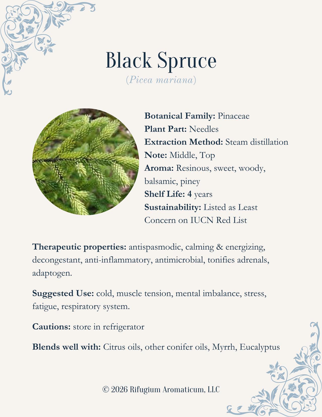 Black Spruce