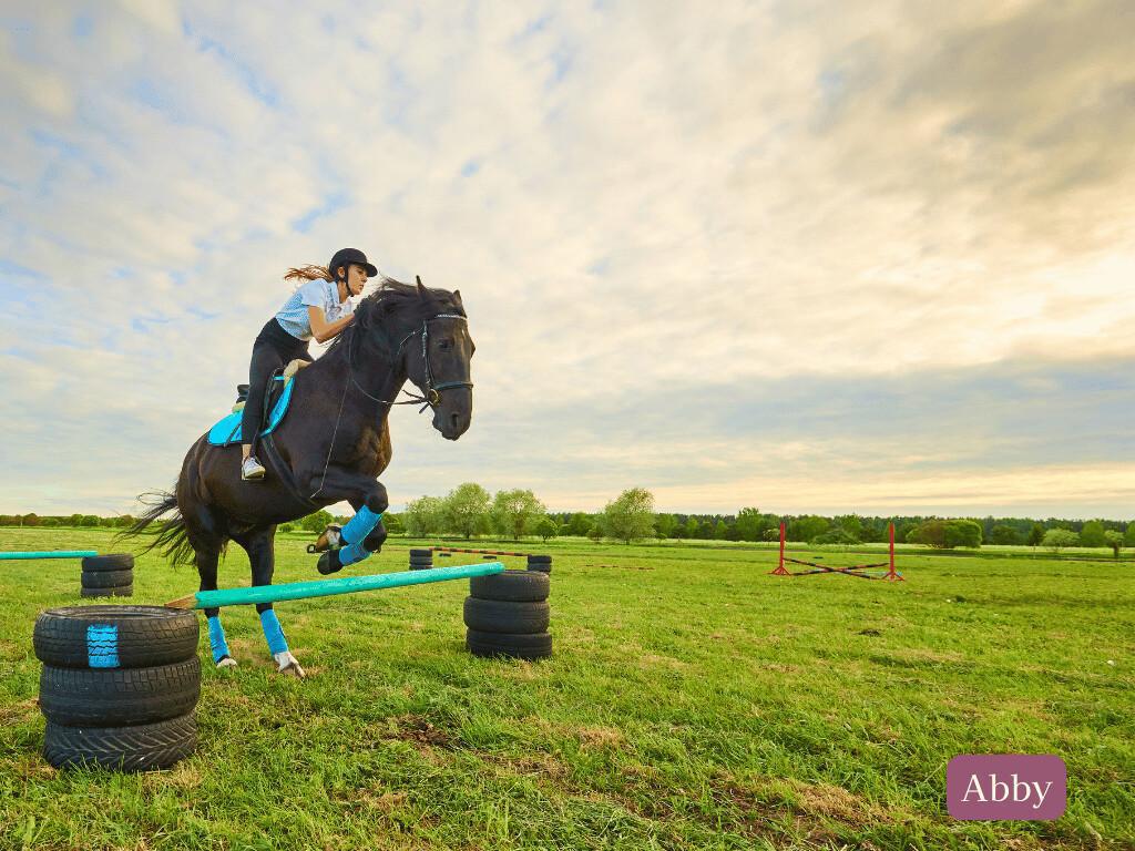Calming with Chamomile: Helping an Anxious Jumping Horse