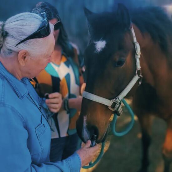 60-Minute Equine Aromatherapy Consultation