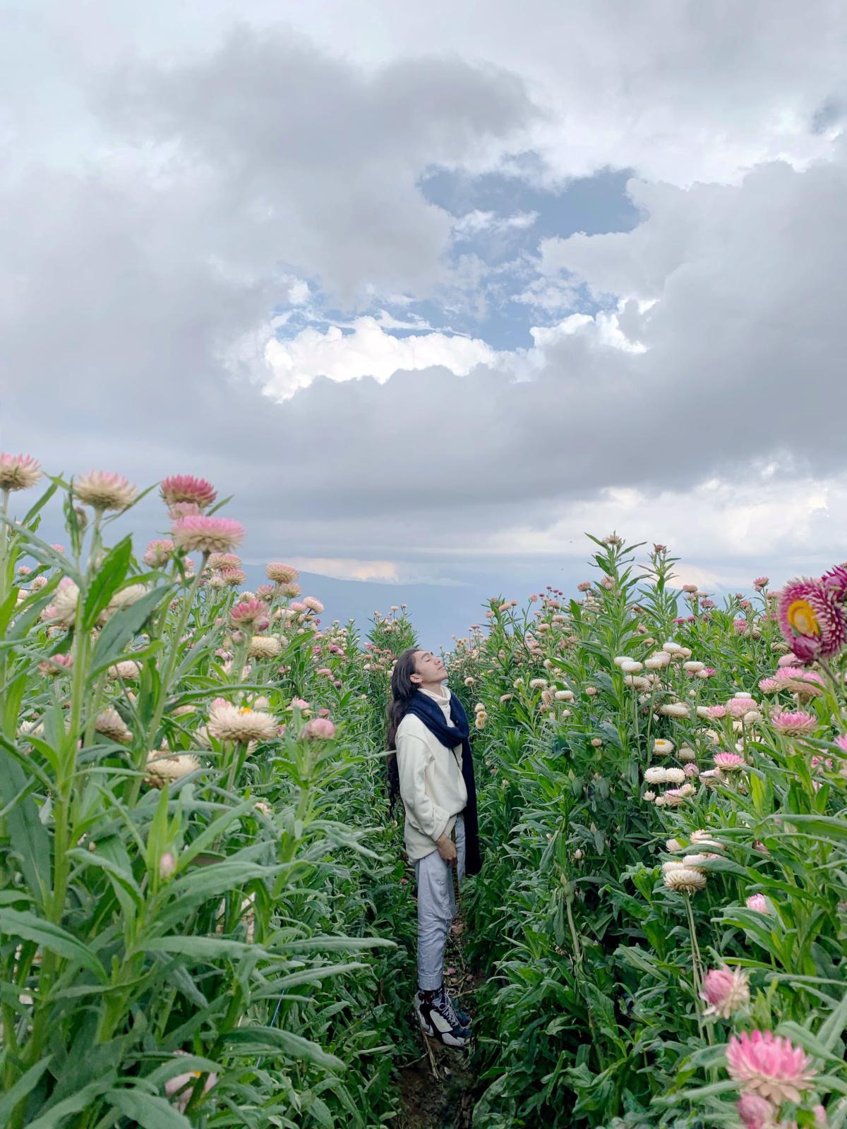 The Aromatic Journey through Emotions The Aromatic Journey through Emotions