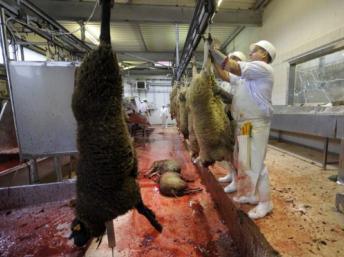 France : haro sur le halal