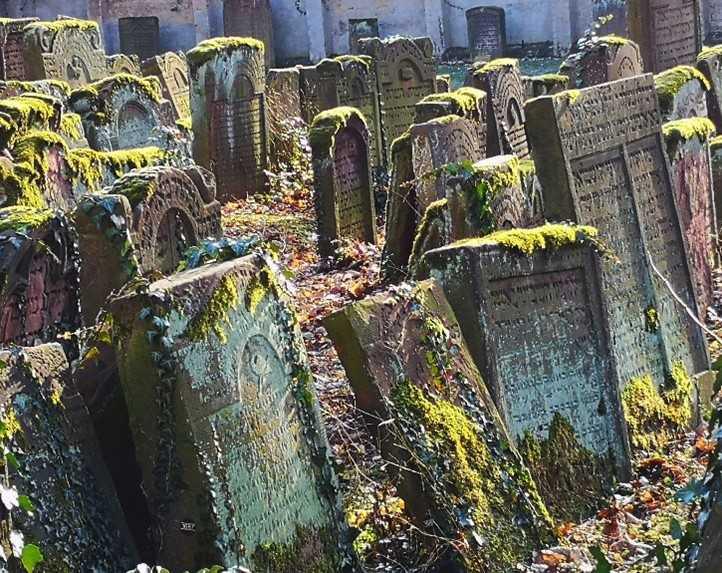 Führung über den alten jüdischen Friedhof Battonstraße
