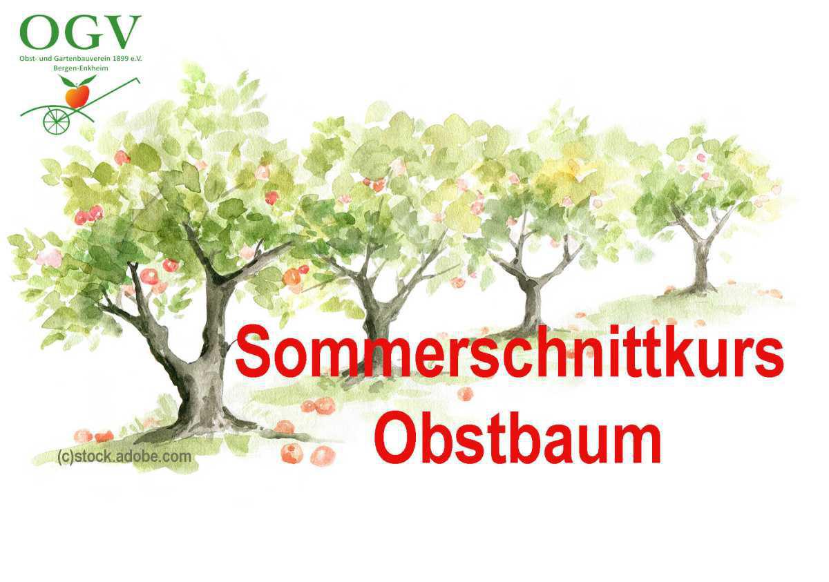 Sommerschnittkurs beim OGV
