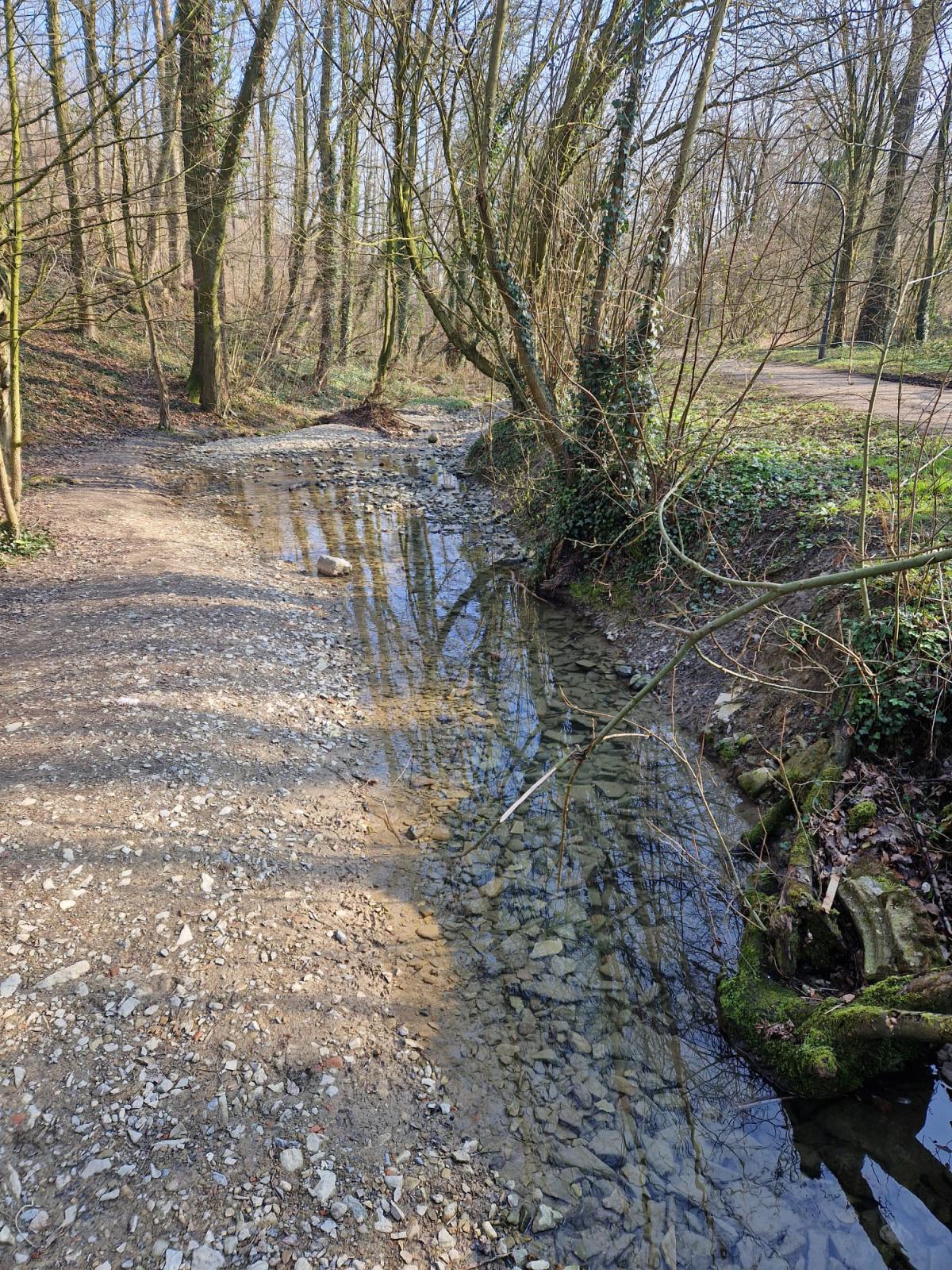 Gassbachtal Gassbachtal