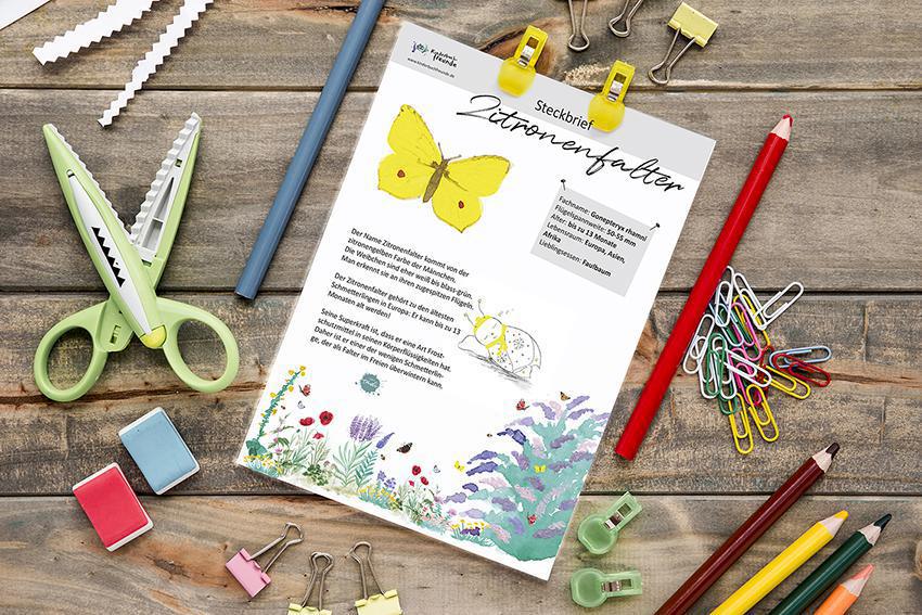 Verlag Kinderbuchfreunde Verlag Kinderbuchfreunde