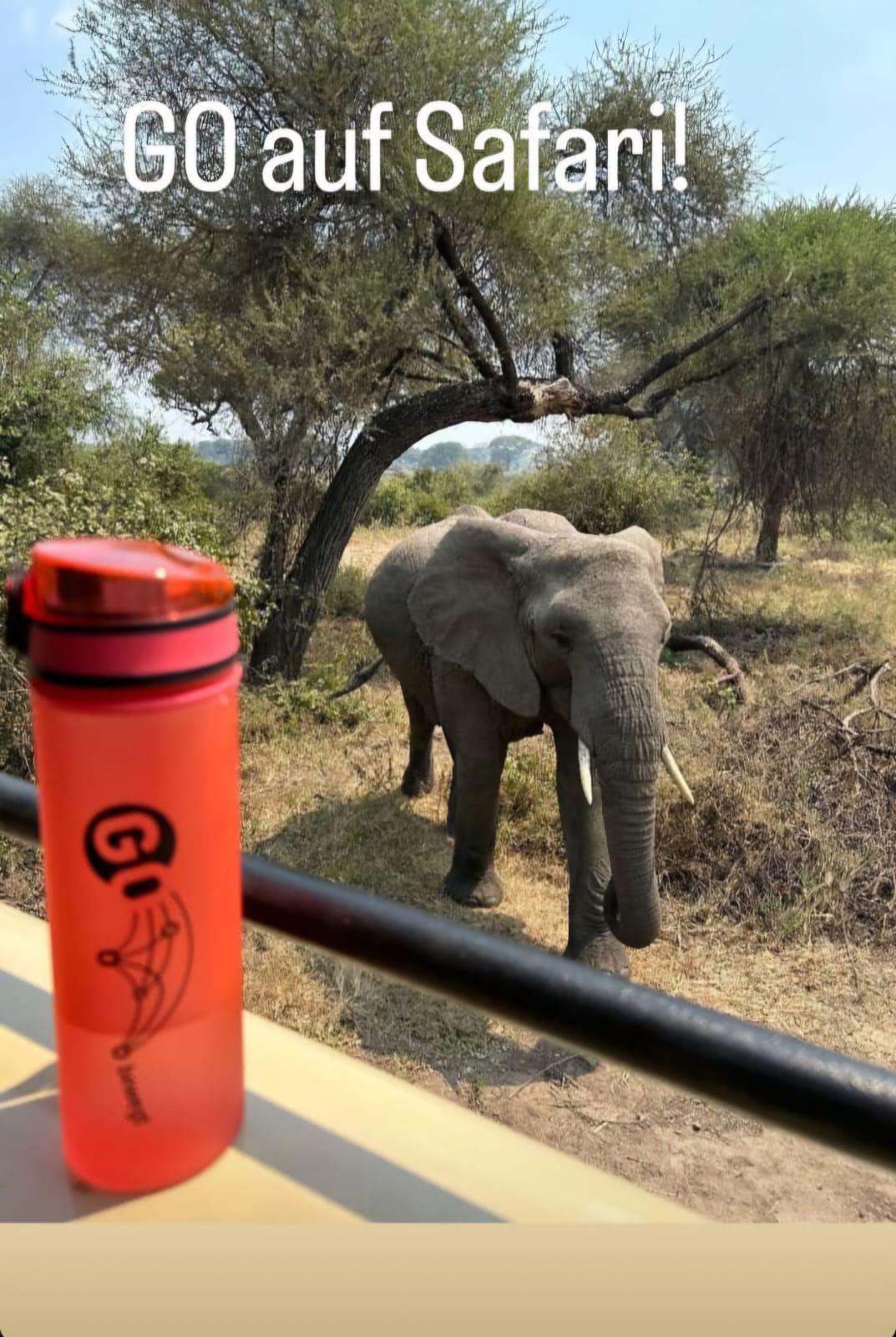 "GO unterwegs": Kreativität kennt keine Grenzen "GO unterwegs": Kreativität kennt keine Grenzen