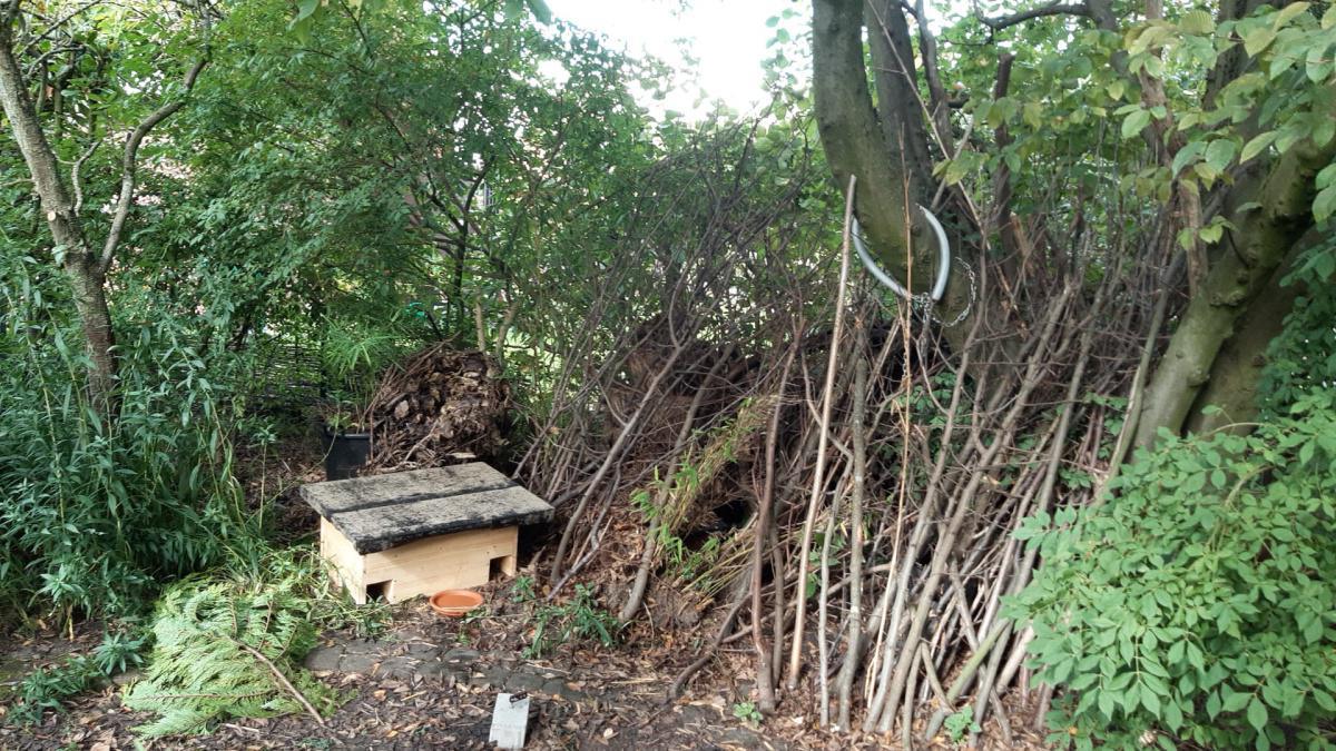 NABU Oelde: Igelhaus selber bauen