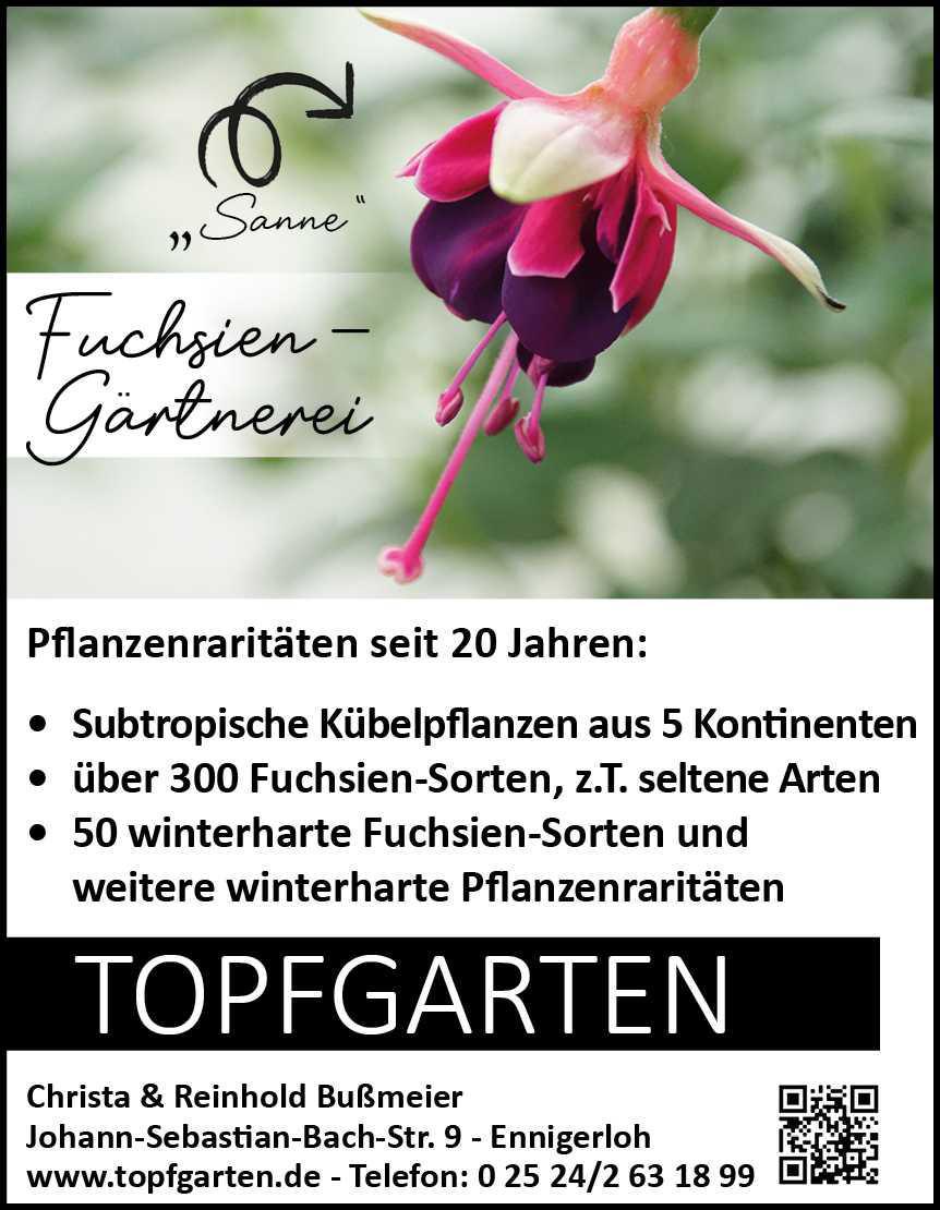 TOPFGARTEN: tropische + subtropische Kübelpflanzen